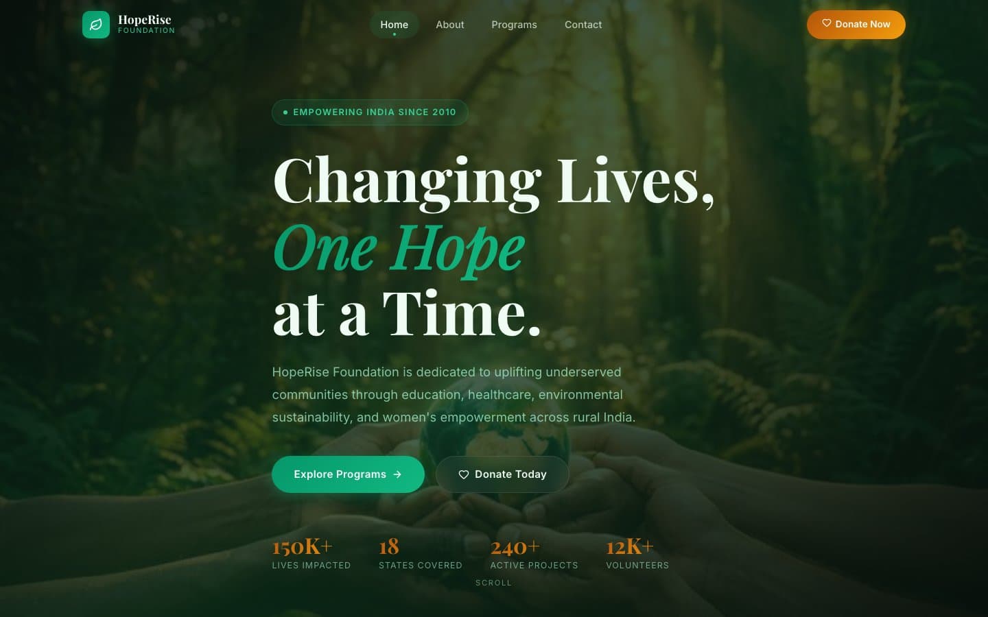 HopeRise Foundation preview